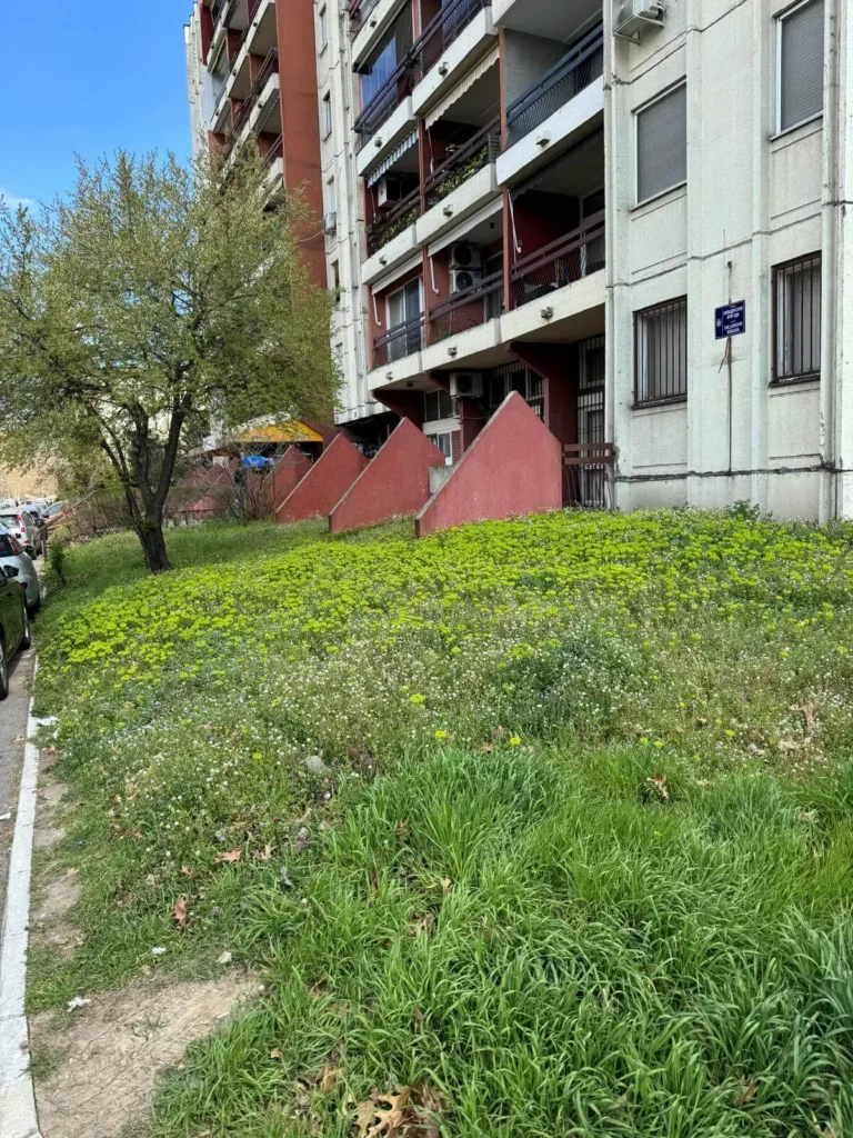 neodržavan travnjak Blok 70 pre košenja trave