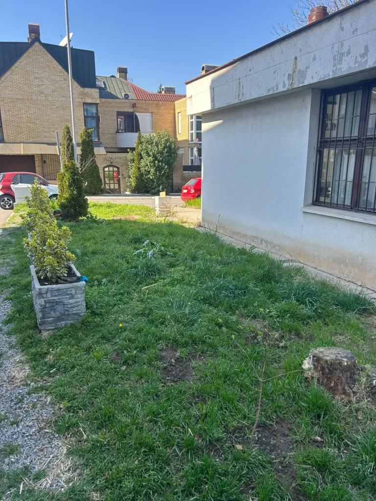 sređivanje dvorišta Beograd Bežanijska kosa pre