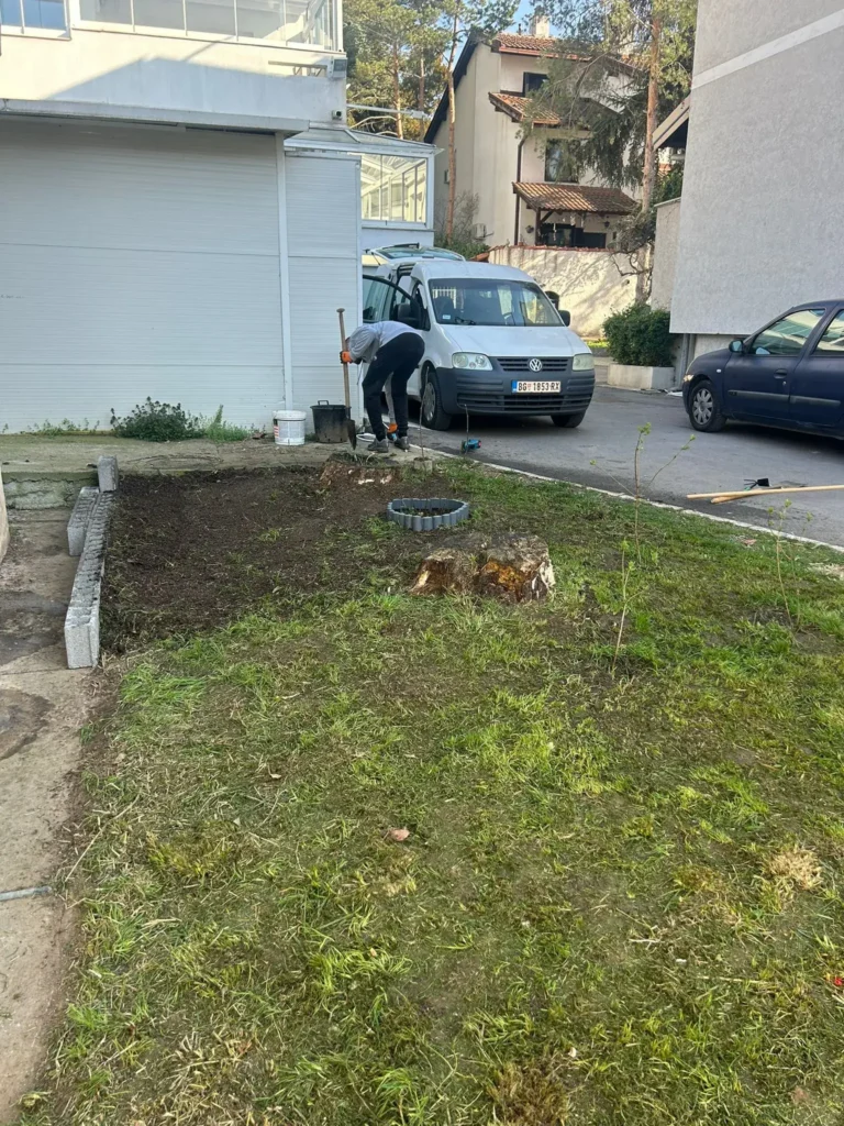 uređivanje dvorišta Beograd Bežanijska kosa pre radova