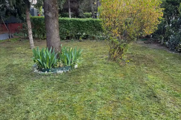 Treci projekat, Novi Beograd, Bežanijska kosa