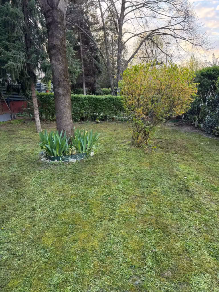 Treci projekat, Novi Beograd, Bežanijska kosa