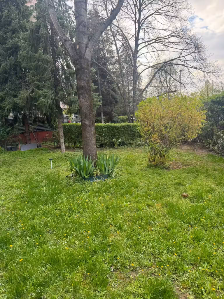 Treci projekat, Novi Beograd, Bežanijska kosa