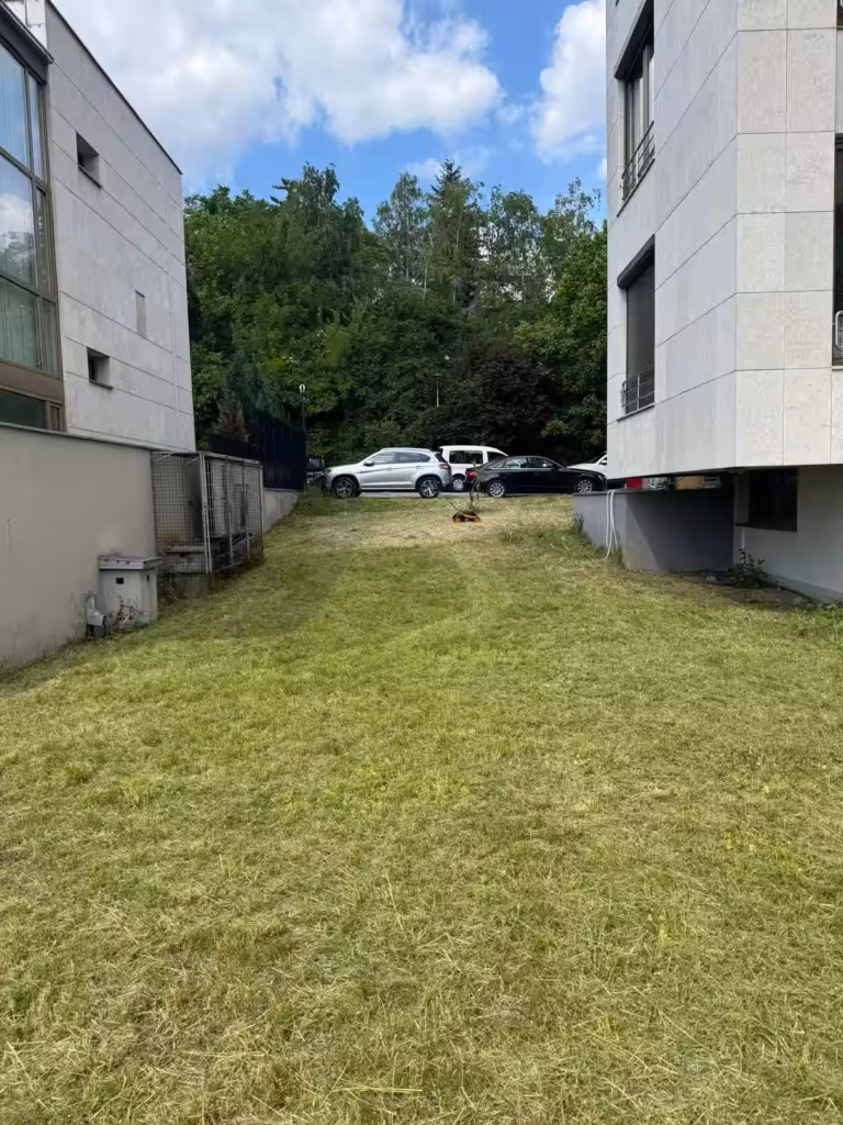 Pedantno uređen i očišćen prostor dvorišta posle košenja.