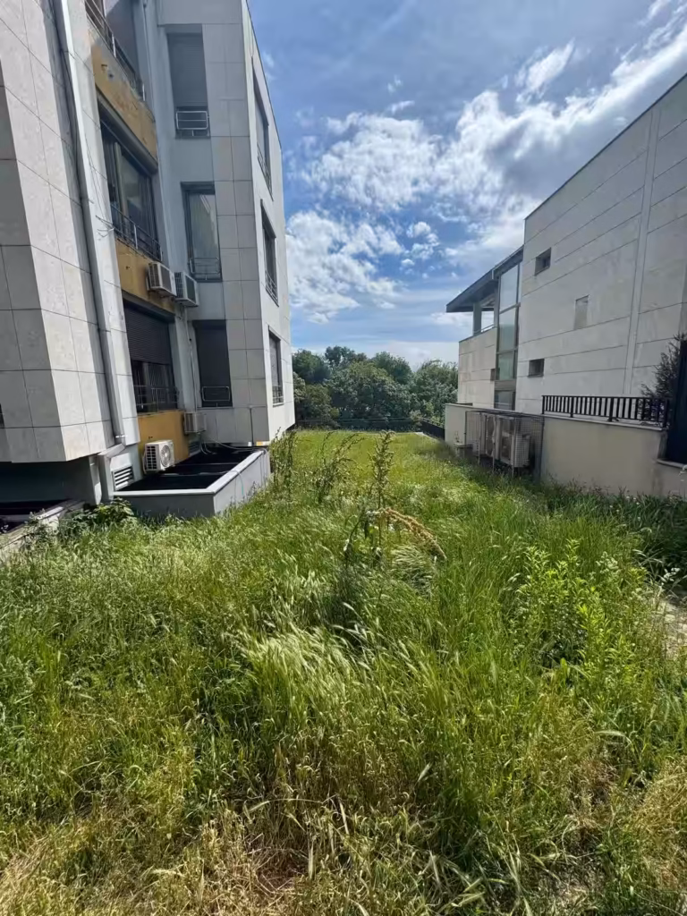 Zapušteno dvorište sa visokom, nepokošenom travom pre uređenja