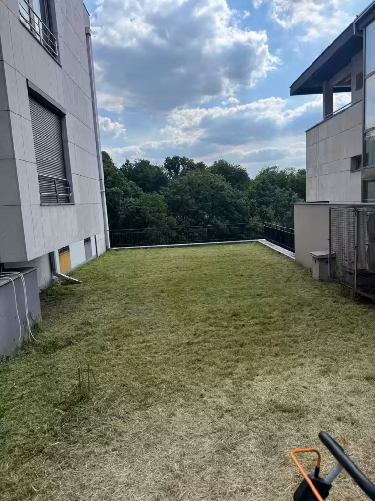 Savršeno pokošena trava i čiste ivice travnjaka nakon uređenja dvorišta.