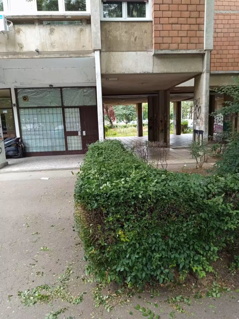 Pedantno oblikovana i očišćena zelena živa ograda u dvorištu.