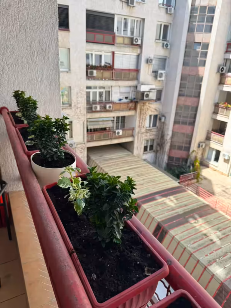 Prelepo uređen prostor na terasi sa zelenilom idealan za odmor i opuštanje.