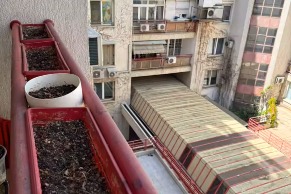 Beograd