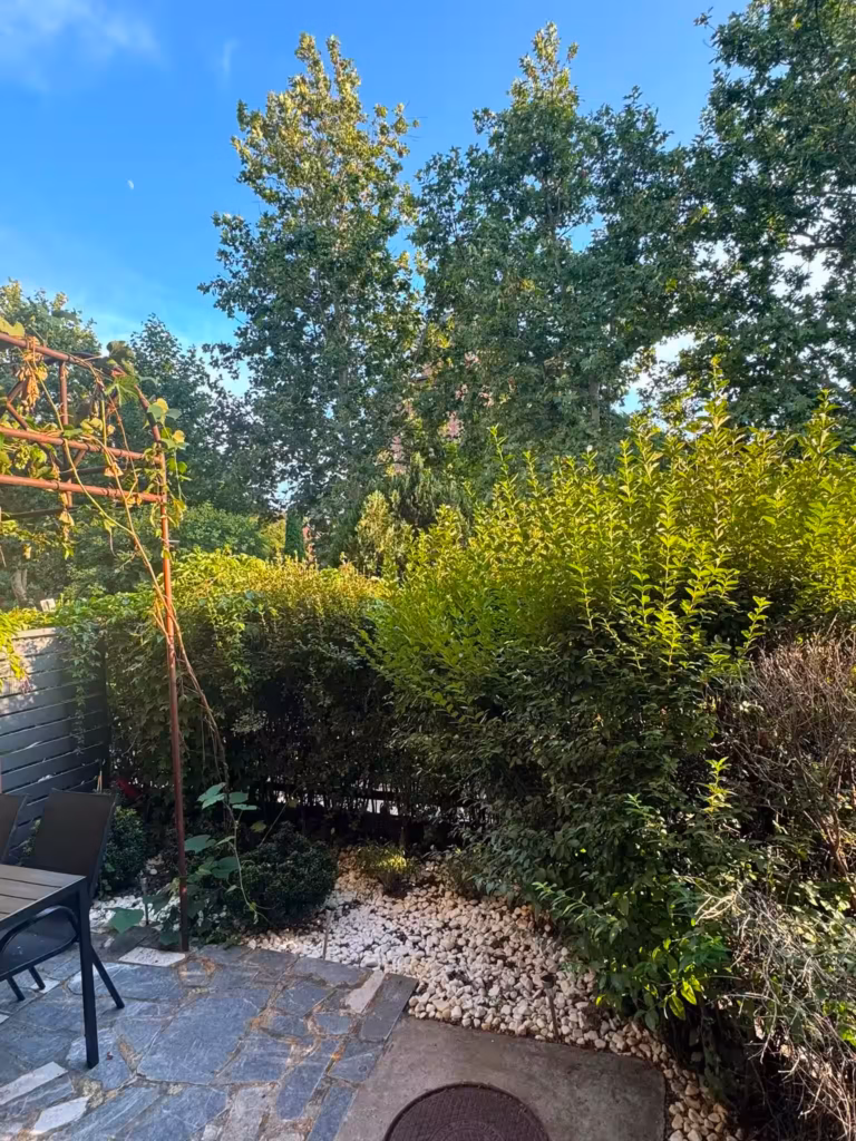 Detaljan prikaz uredno podšišanog i formiranog grmlja pored staze.