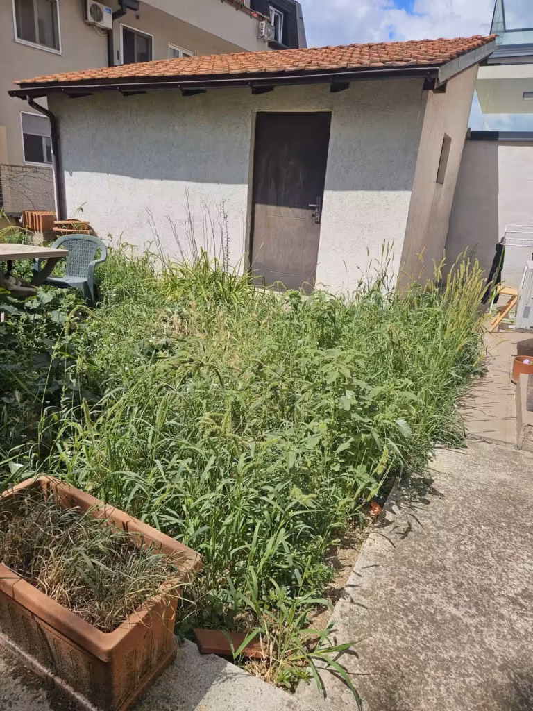 Zarasle i nejasne ivice travnjaka pored staze pre detaljnog uređivanja.