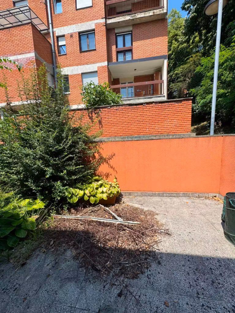 Pogled na ceo neobrađen dvorišni prostor pre početka jesenjih radova.