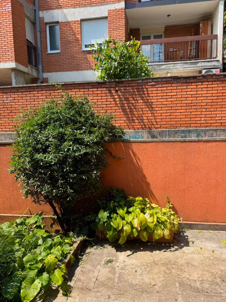 Široki kadar kompletno pripremljenog terena za novu jesenju sadnju.