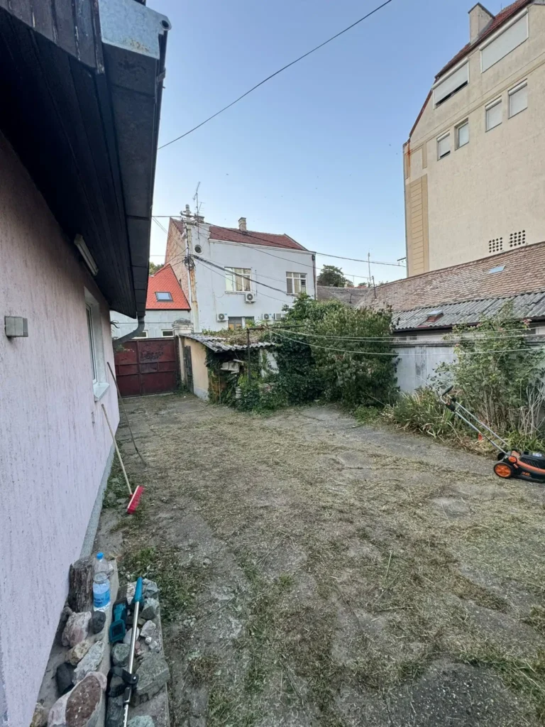 Svježe pokošena i regenerisana trava sa ravnomjernom strukturom u Zemunu.